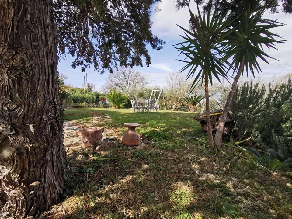 Bed & Breakfast Villa Flora Eredita 외부 사진
